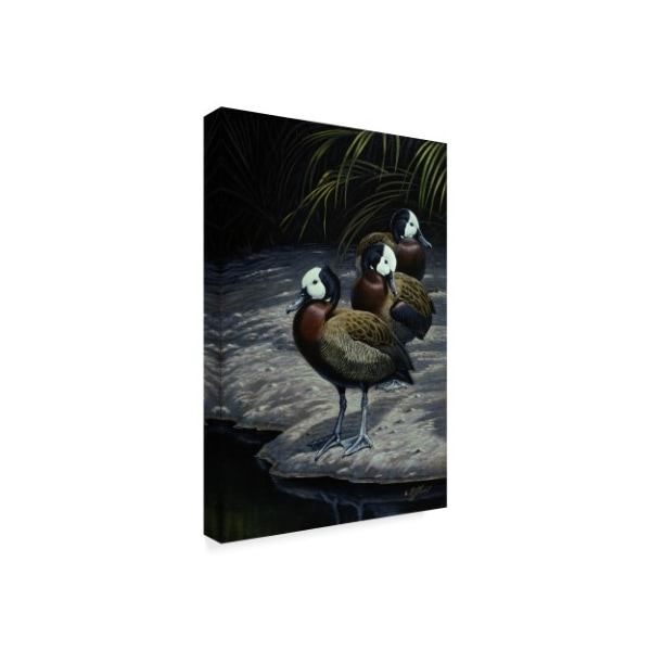 Wilhelm Goebel 'White Faced Whistling Ducks' Canvas Art,16x24